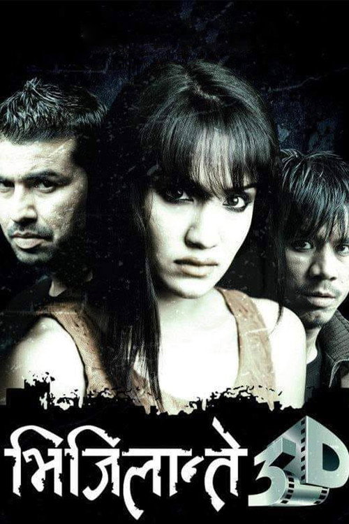 Vijilante 3D (2013) poster
