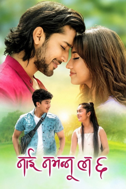 Nai Na Bhannu La 6 (2023) poster